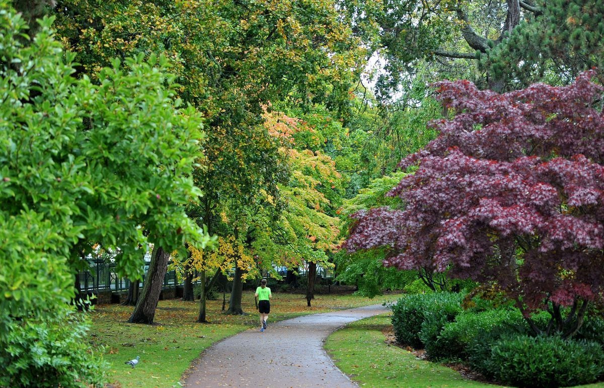 The leafy surroundings of West Park will have the eyes of the world on it during the event