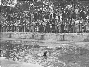 Crowds flocked to see the sealion show at the opening pf Dudley Zoo in May 1937.