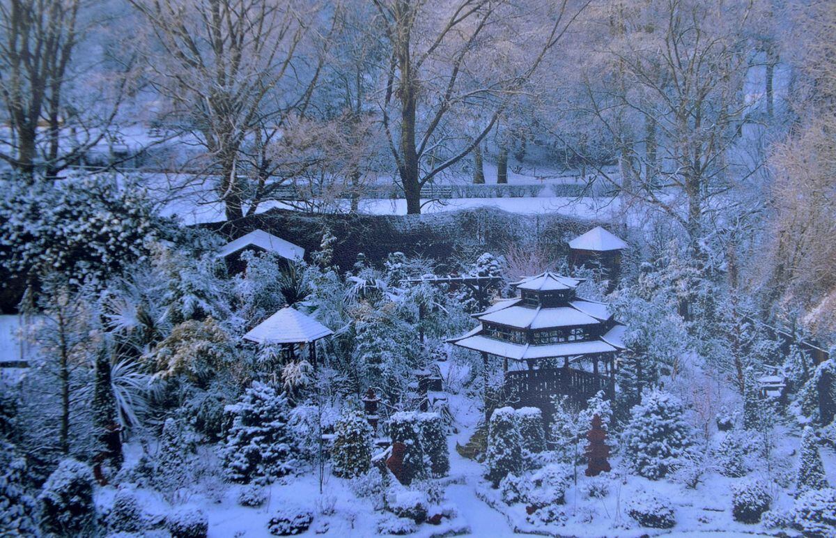A winter's scene
