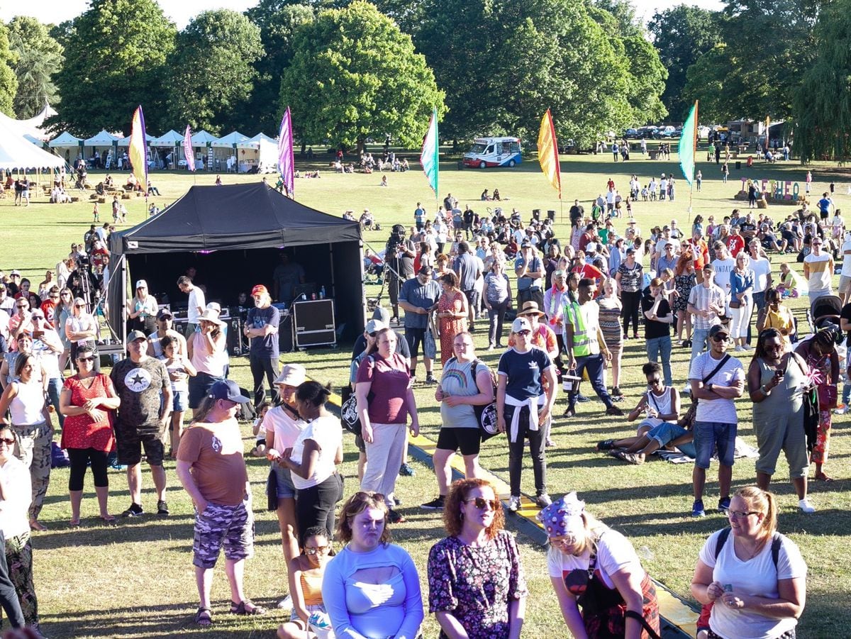 Crowd at Together Festival at Dudley's Himley Park      Photo:Uche Nwogwugwu