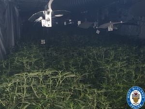 More than 2,000 cannabis plants were found in the unit. Photo: West Midlands Police