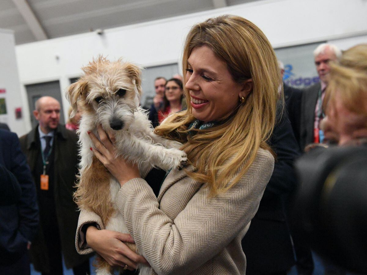Carrie Symonds named Peta's 'person of the year' | Express ...