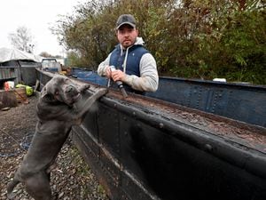 Jamie Cameron works on the historic boat with his Cane Corso dog, Drago