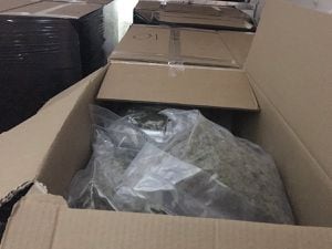 Cannabis with a street value of £1 million seized from van on M6