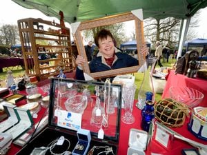 DUDLEY COPYRIGHT EXPRESS&STAR TIM THURSFIELD 18/04/21.Antiques fair at Himley Hall..Denise Harris from Codsall..CONTACT NUMBER 07885 222156.....
