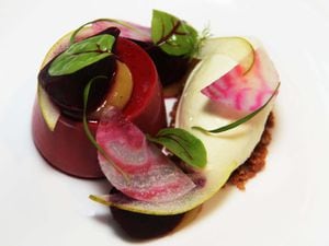 Beetroot panna cotta served with goat’s cheese