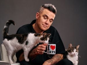 Robbie Williams stars as voice of Felix the cat in new pet food advert