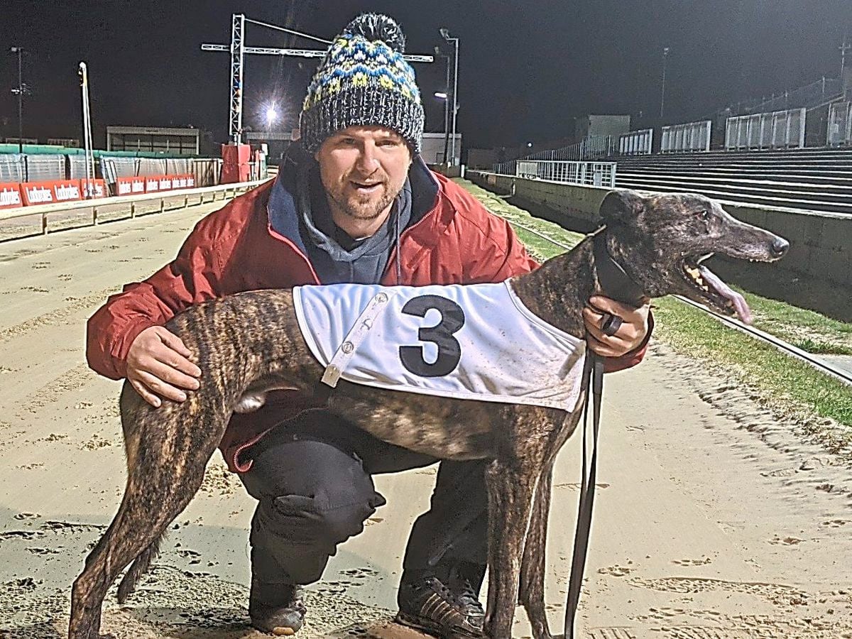 Award-winning greyhound Shelbys Memory with Monmore Green assistant trainer Arran Dunn