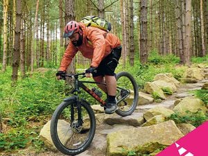 Cannock Chase Forest will have the eyes of the world on it when it hosts the Mountain Bike competitions