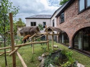 Top prize is a stay at the Red Panda Cottage at West Midlands Safari Park