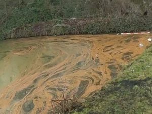 Brown Sludge that has worked its way into the Bilston Canal system.