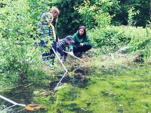 A family pond-dipping at Kingswood Trust