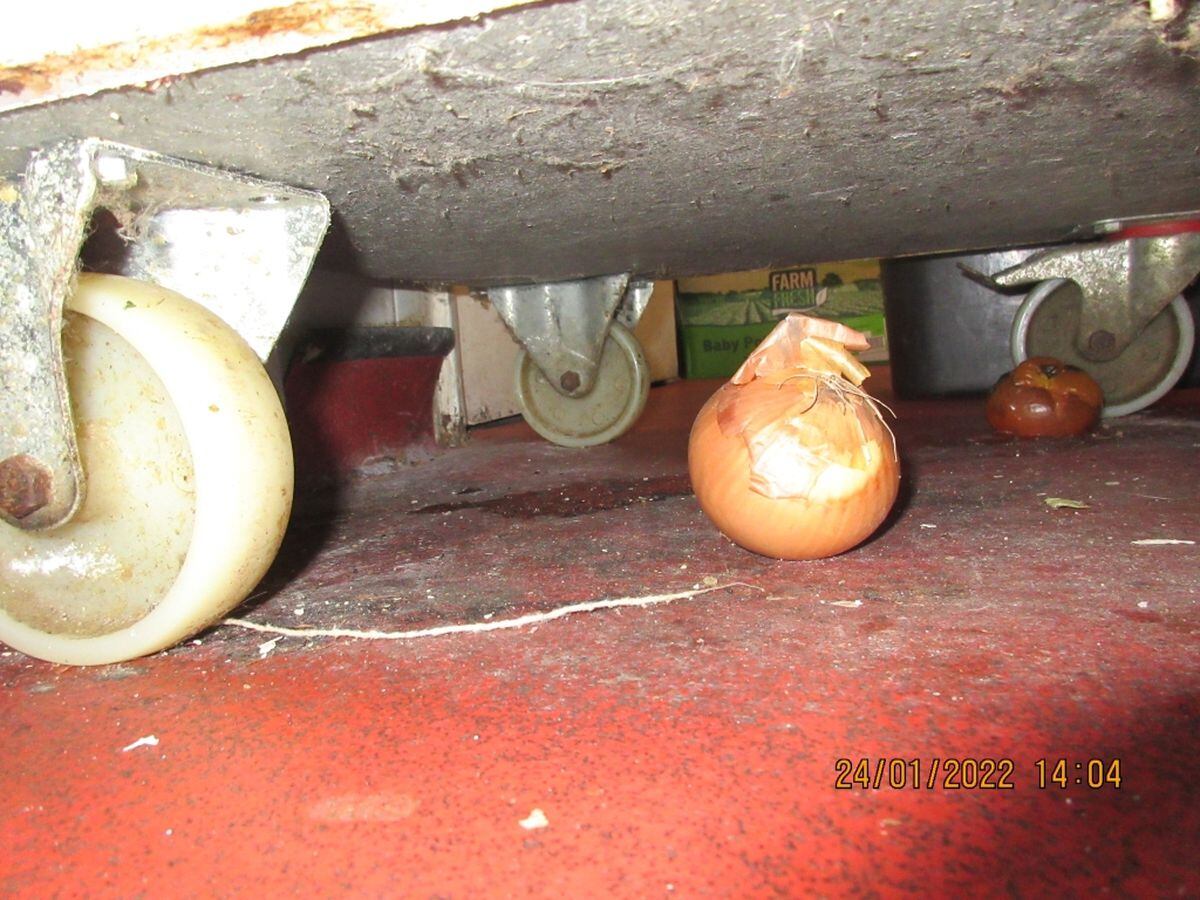 Photos of the conditions found at the premises. 