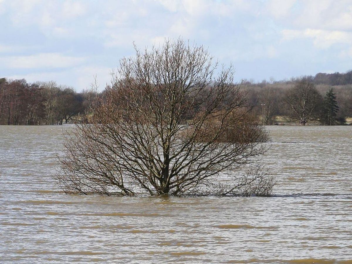 Flooding near Sandwell Valley