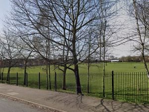 Kings Hill Park, Wednesbury. Photo: Google.