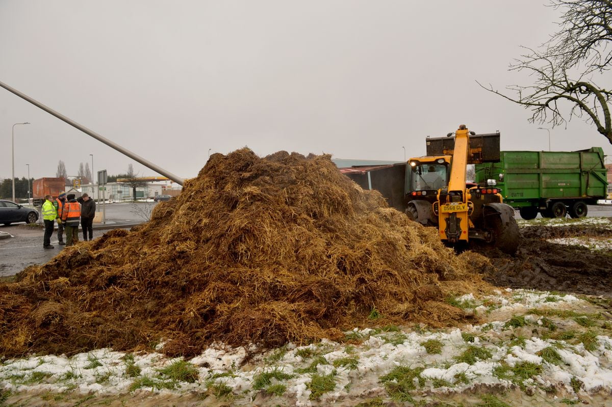 The mound of manure was large and spread across the side of the road