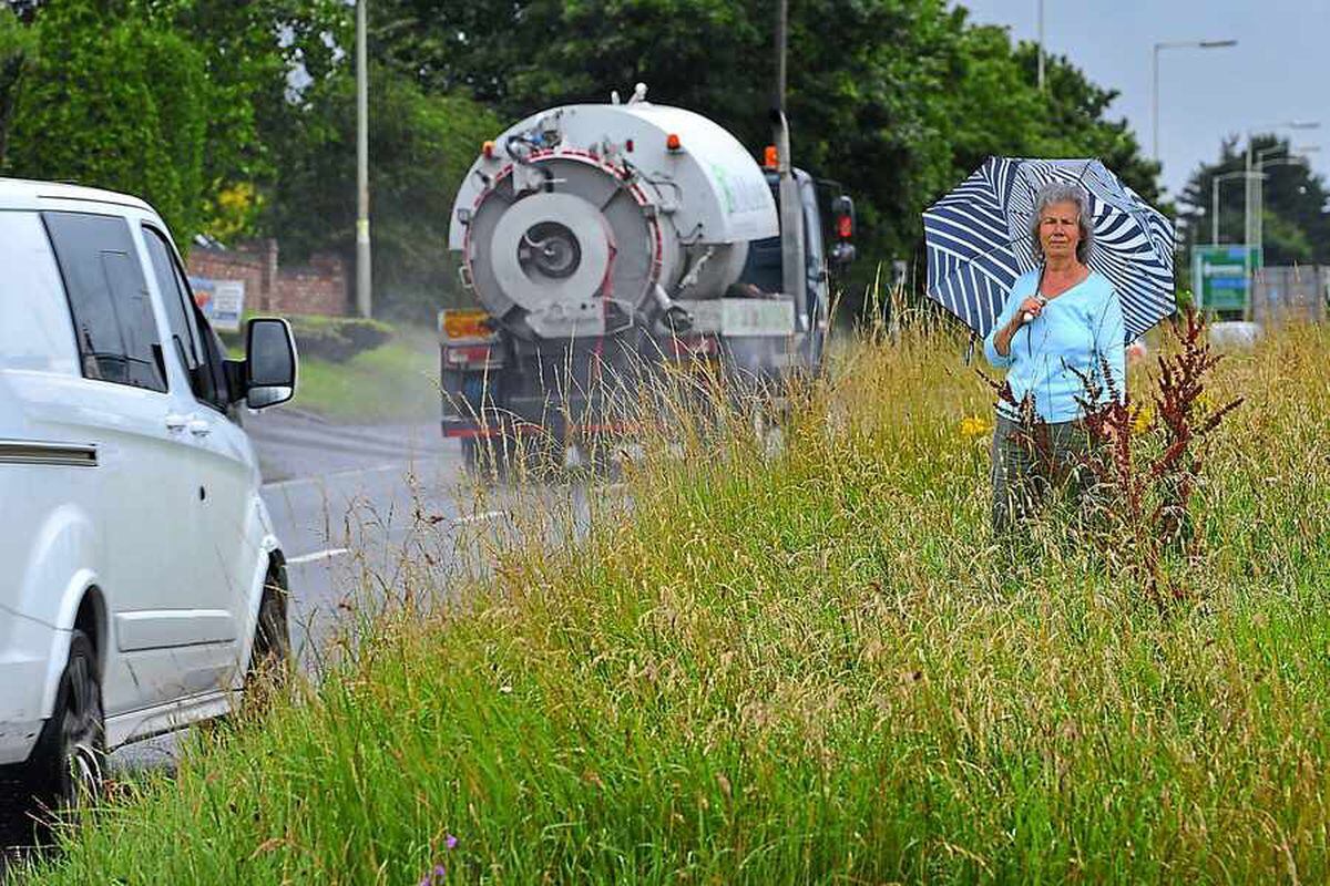 'Ridiculous' long grass is 'serious danger' for A5 drivers