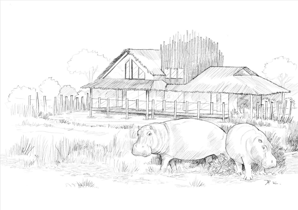 The artist’s impression of the exterior space of the Hippo Lodges.