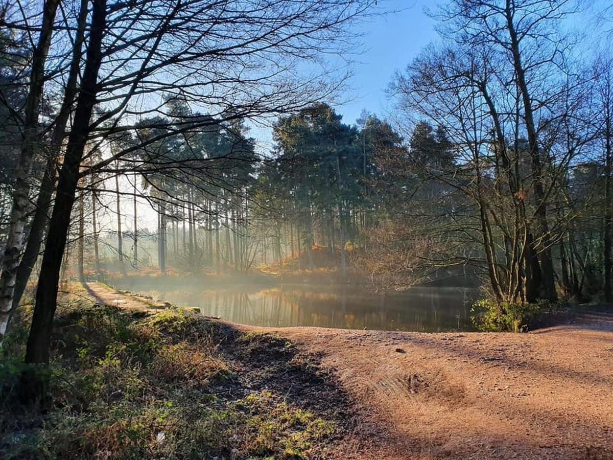 New trails and path improvements will be able to take place at Cannock Chase