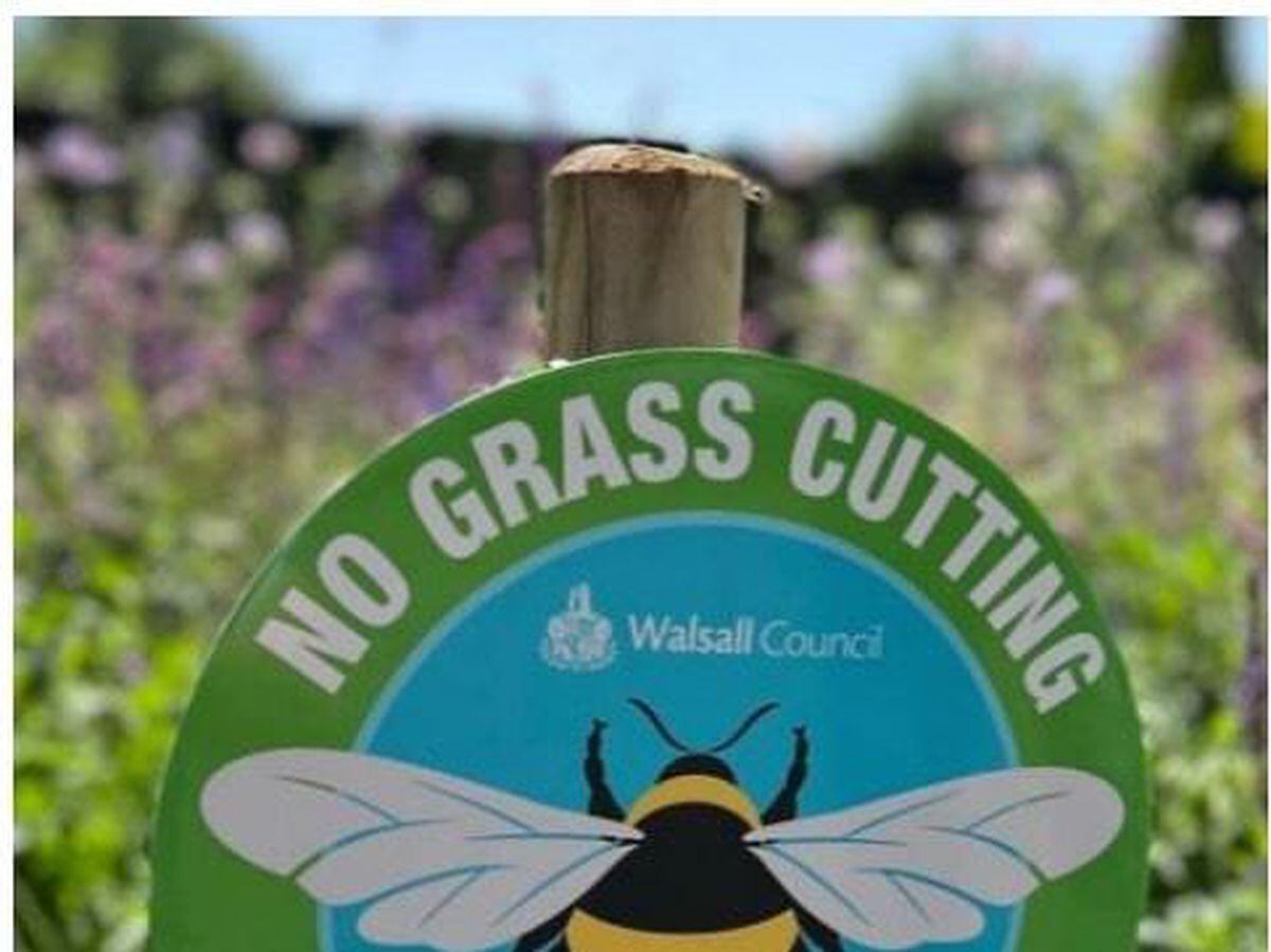 Bees are believed to be harmed by pesticides Credit: Dudley Council