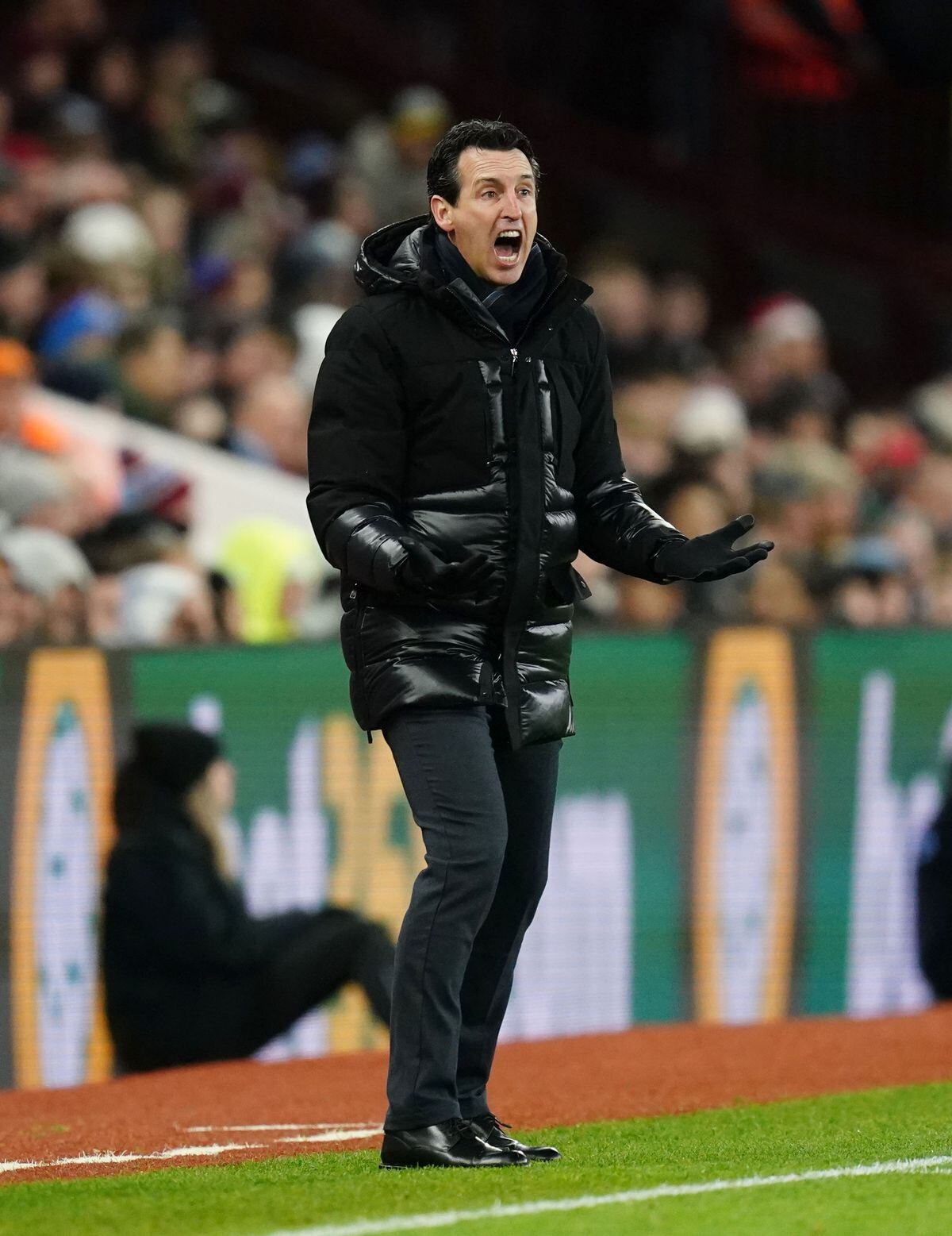 Unai Emery Vows To Keep Taking The Aston Villa Fight To Premier League  Rivals | Express & Star