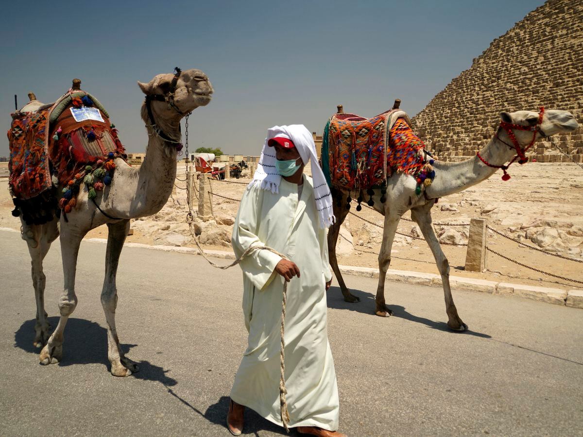 A camel guide wears a surgical mask while pulling his camel at the Giza Pyramids in Giza (Hamada Elrasam/AP)