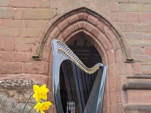 Colin Darling won the photography contest for this picture of a harp