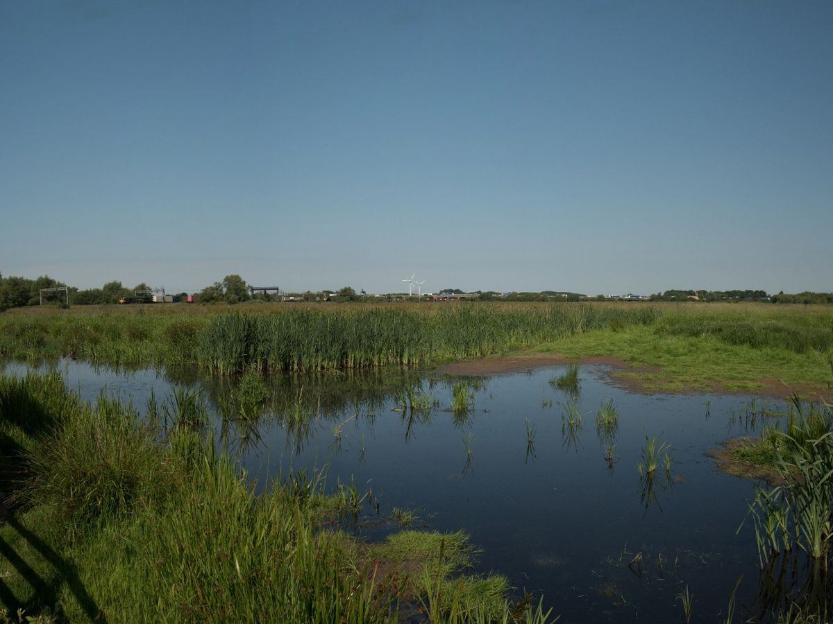 Doxey Marshes which will benefit from the £4.1m Stafford Brooks Project