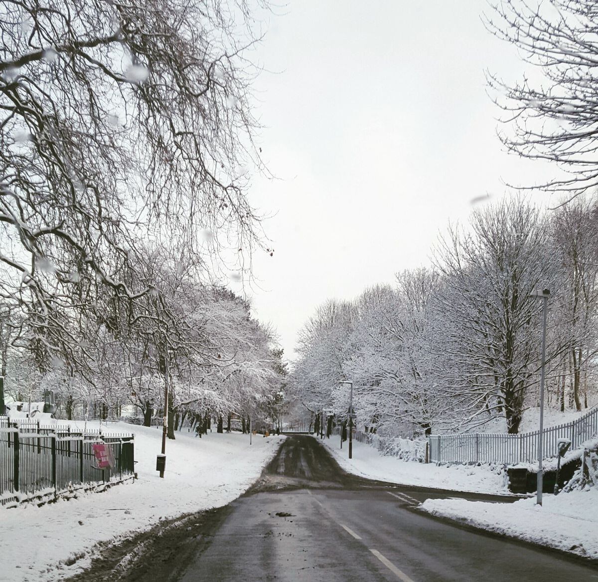 The snow lined Brunswick Park Road in Wednesbury. Picture: Charlotte Owen