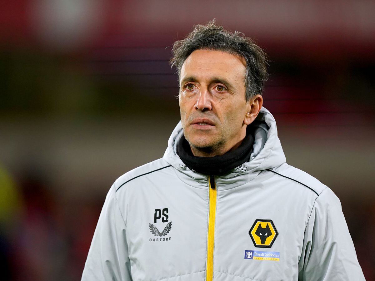 Wolverhampton Wanderers assistant head coach Pablo Sanz 