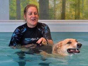Canine hydrotherapist Marianne Edwards working with Rue