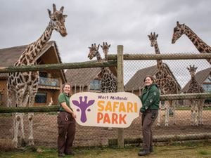 logo parc safari