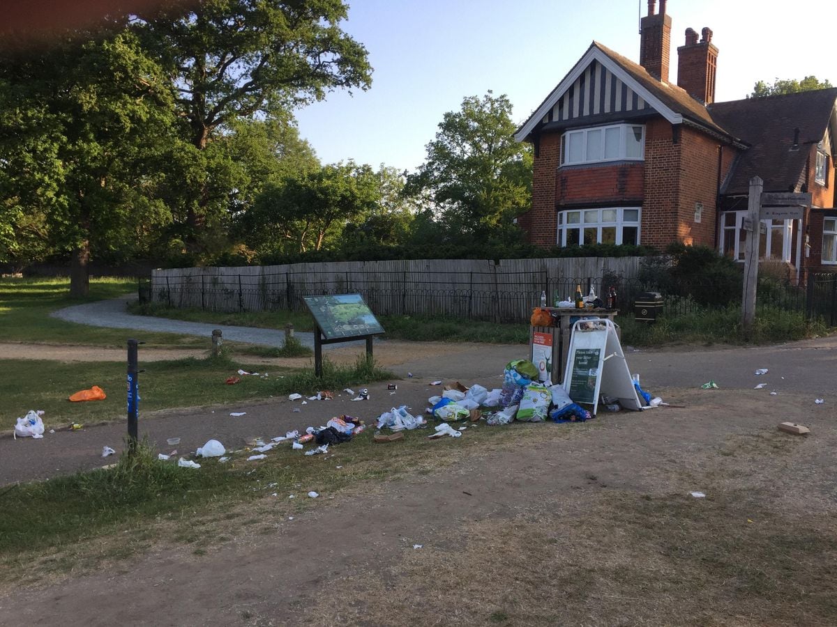 Picnic scraps left in Richmond Park, west London, in June 2020.