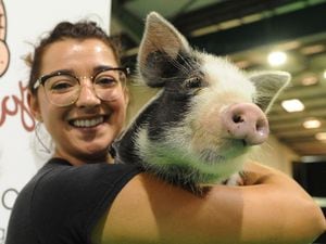 Animal lovers descend on Stafford pet show