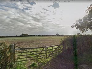 Fire fighters tackled a haybale fire on land near Thorneyfields Lane. Photo: Google Street Map