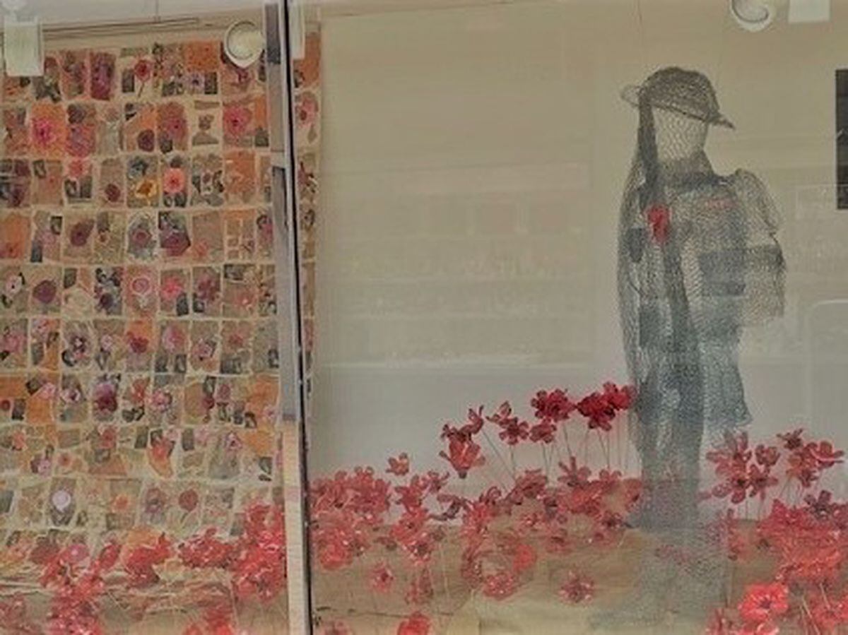 The poppy display created by pupils 