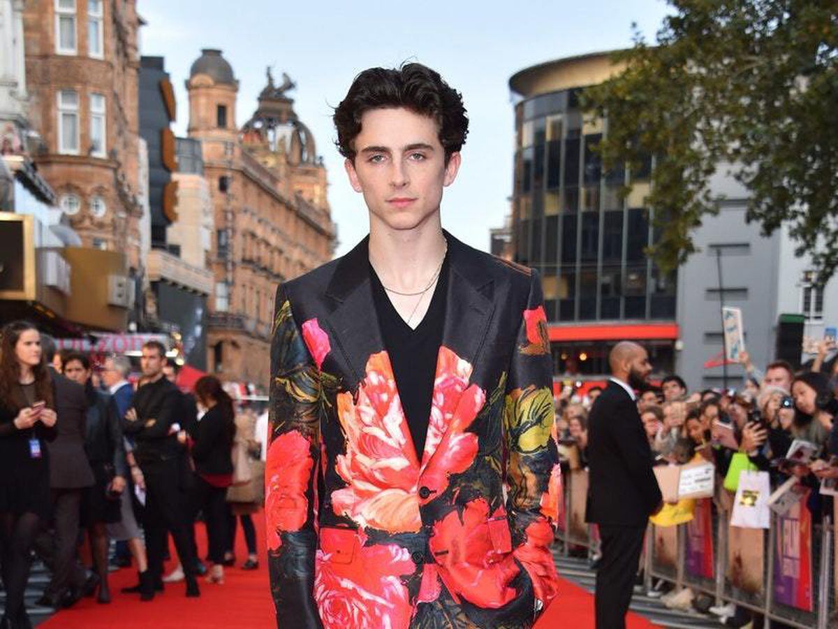 Timothee Chalamet hopes Beautiful Boy gives insight into dangers of ...