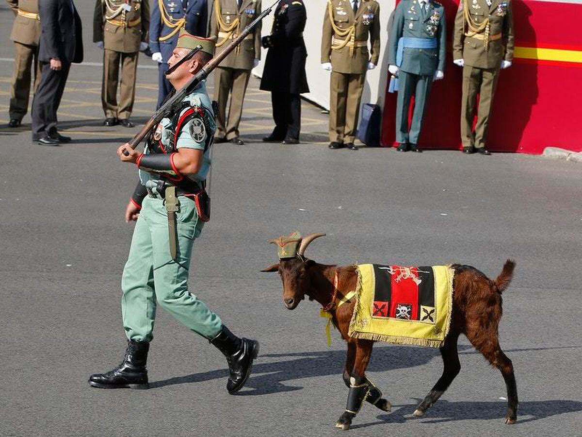A Spanish Legionnaire marches with a ceremonial mascot goat (Paul White/AP)