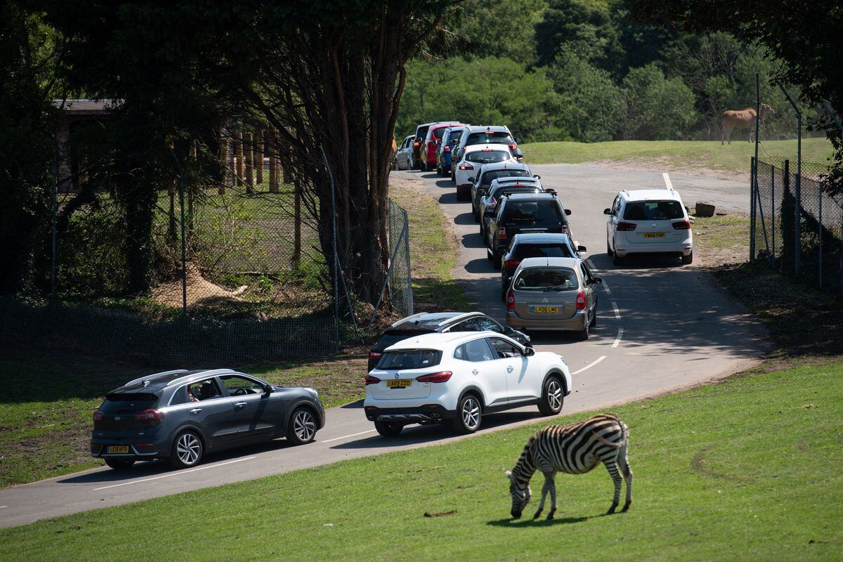 Visitors make their way through West Midland Safari Park in Bewdley, as Britain is braced for a June heatwave as temperatures are set to climb into the mid-30s this week