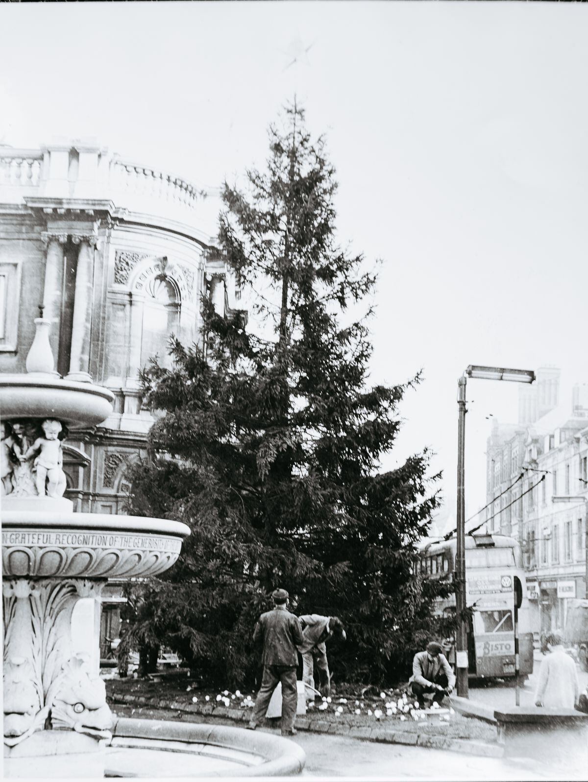 A Christmas tree in Queen Square, Wolverhampton, donated by Bradford Estates