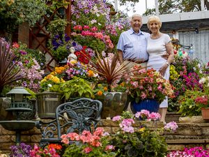 Donald and Barbara Hall in their award-winning garden.