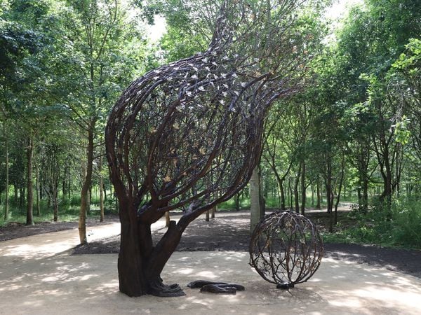 Tree of Cherished Memories 1. Credit National Memorial Arboretum