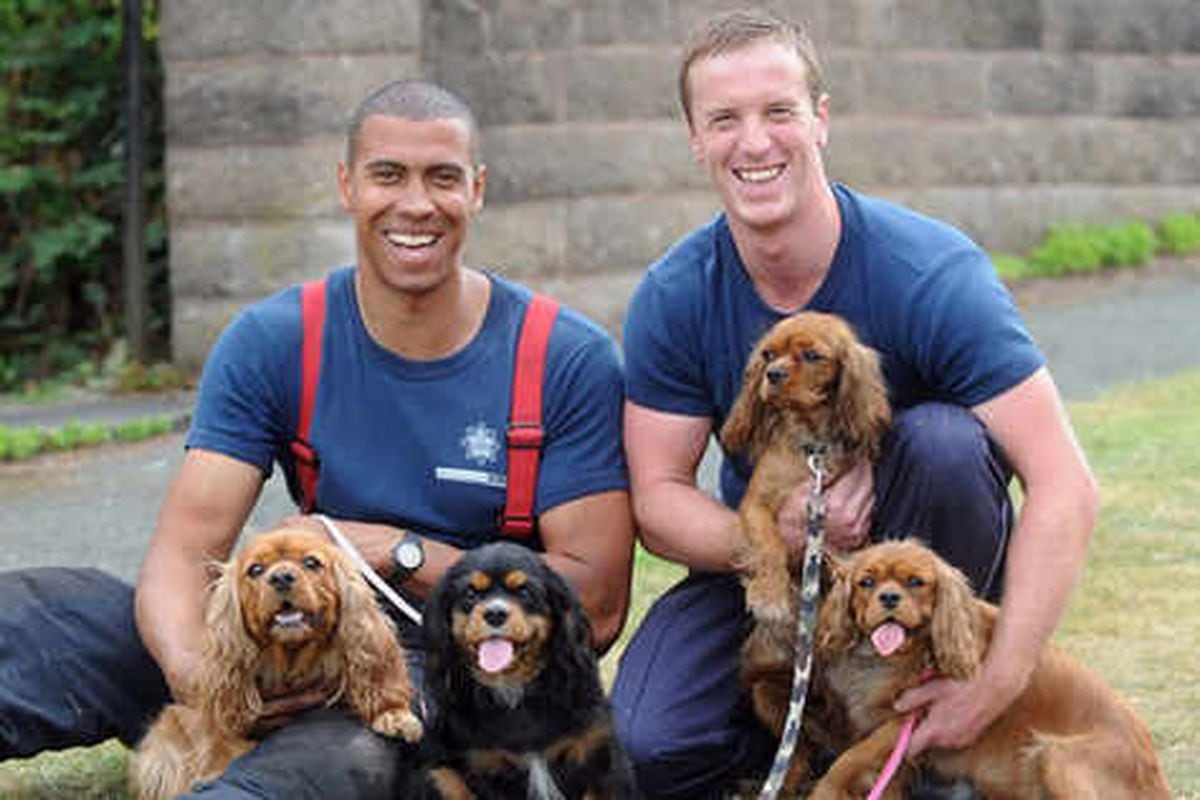 Firefighters in dog rescue drama Express & Star