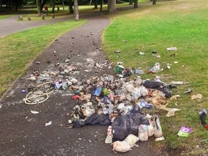 Fly-tipping on a public path in Reedswood Park, Walsall. Photo: Nina Black.