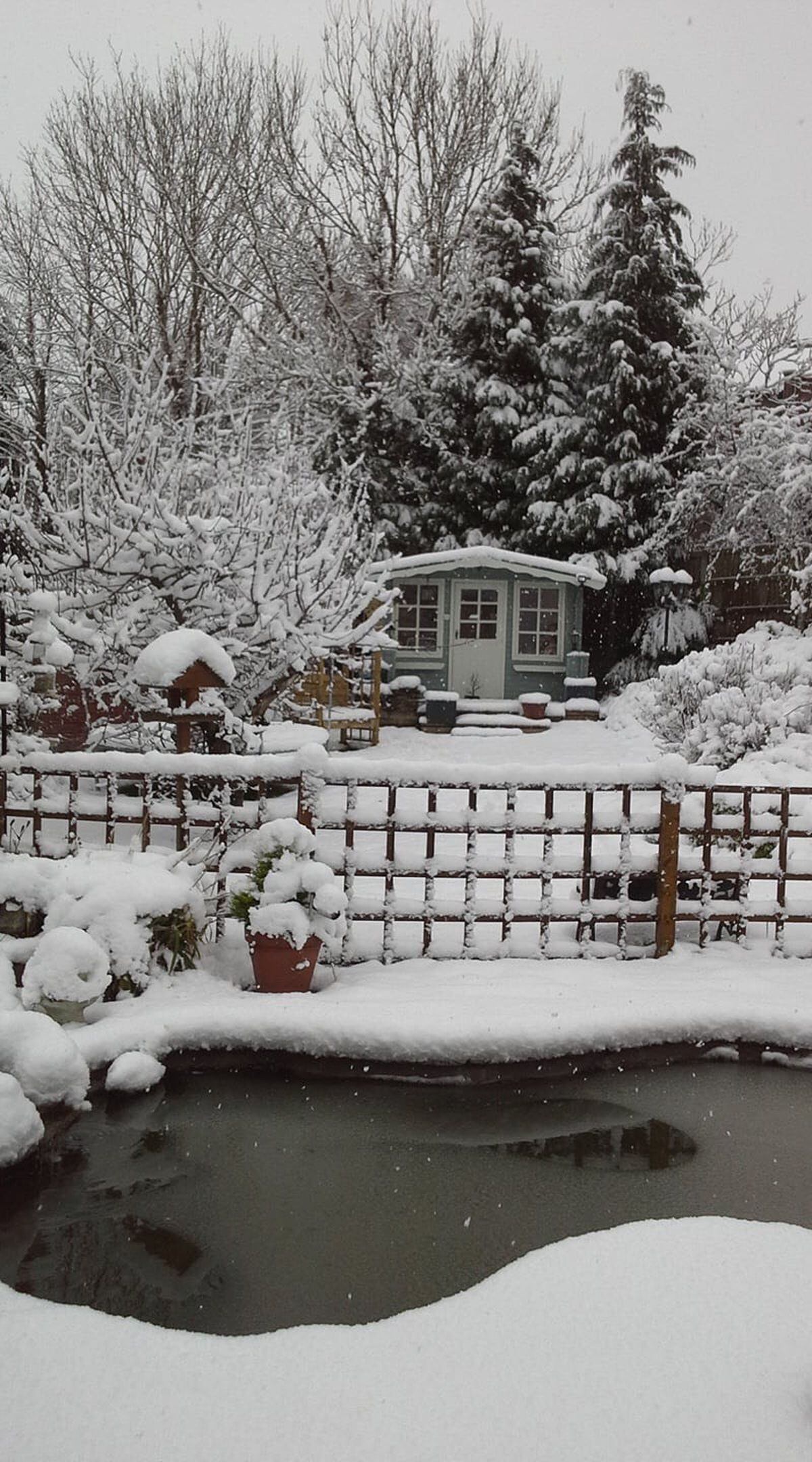 Gillian Dunn took this picture of her back garden covered in snow in Wordsley