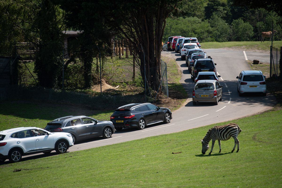 Visitors make their way through West Midland Safari Park