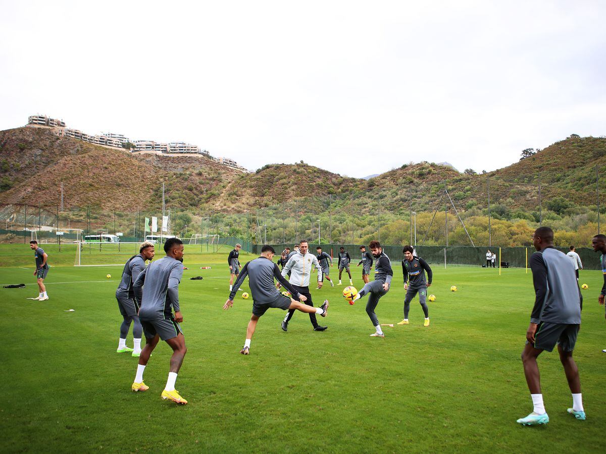 Wolves will also play warm up matches in Marbella (Getty Images)