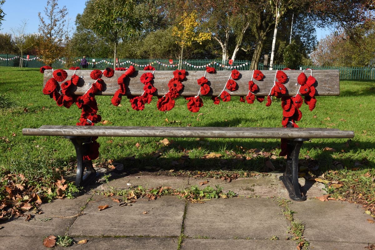 This bench has been dressed by poppies