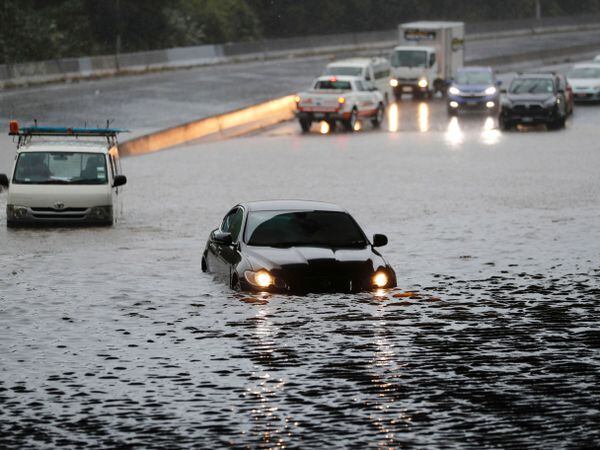 Vehicles stranded in flood water in Auckland