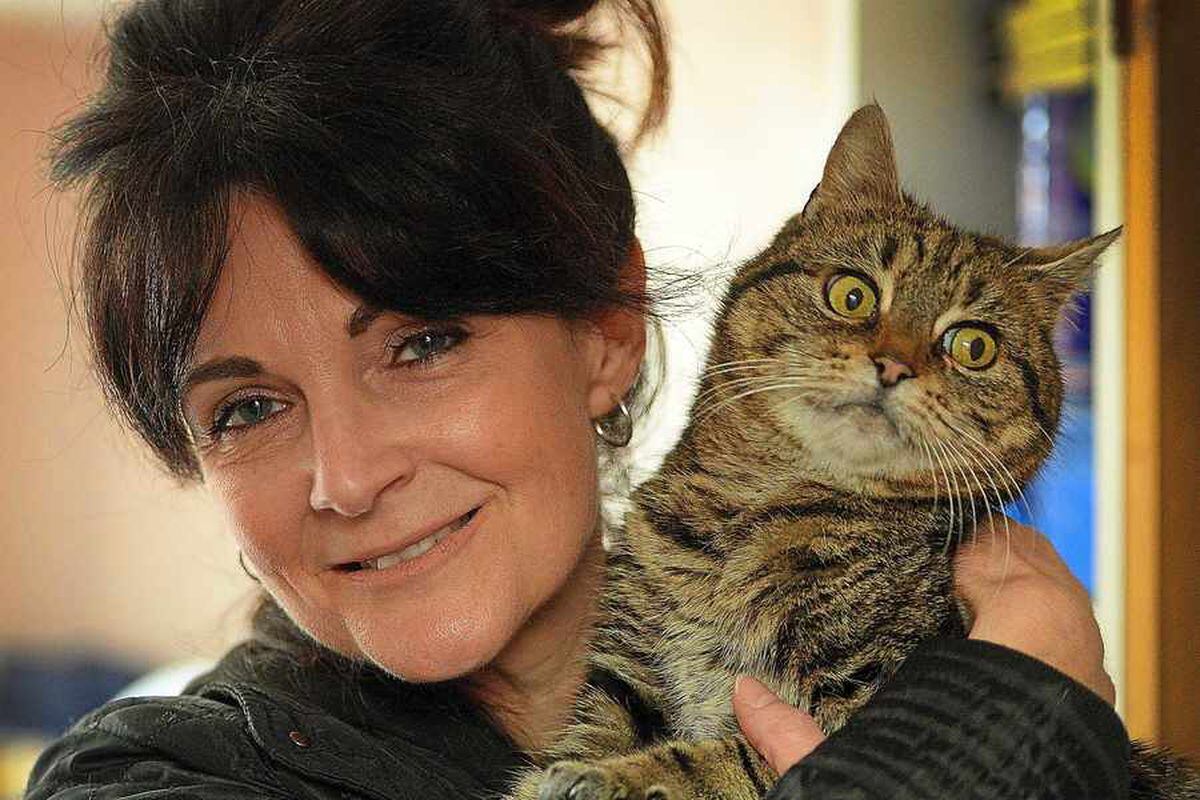 Can you help homeless cat Kate find a new mate?